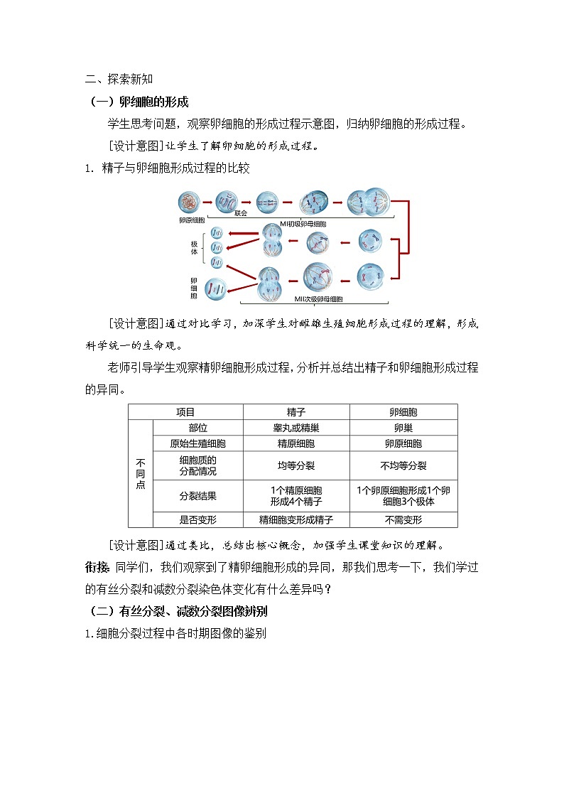 【核心素养】人教版高中生物必修二2.1.2《减数分裂与受精作用》课件PPT+教案+练习02