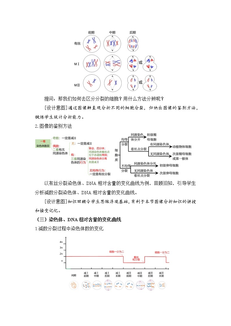 【核心素养】人教版高中生物必修二2.1.2《减数分裂与受精作用》课件PPT+教案+练习03