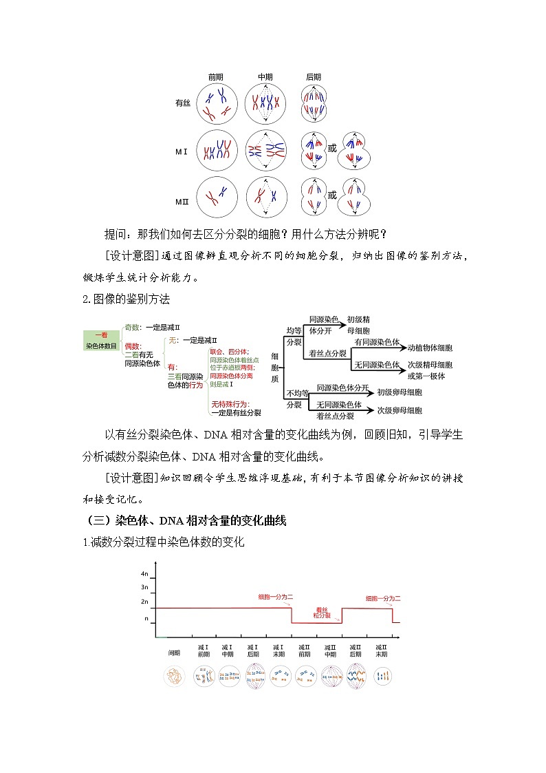 【核心素养】人教版高中生物必修二2.1.2《减数分裂与受精作用》课件PPT+教案+练习03
