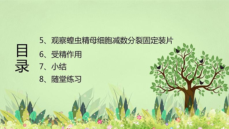 【核心素养】人教版高中生物必修二2.1.2《减数分裂与受精作用》课件PPT+教案+练习03