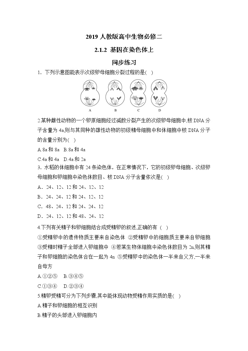 【核心素养】人教版高中生物必修二2.1.2《减数分裂与受精作用》课件PPT+教案+练习01