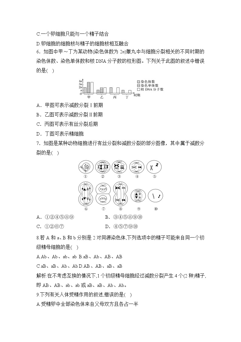 【核心素养】人教版高中生物必修二2.1.2《减数分裂与受精作用》课件PPT+教案+练习02