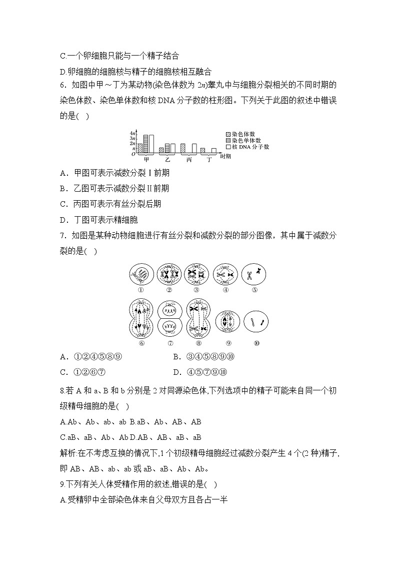 【核心素养】人教版高中生物必修二2.1.2《减数分裂与受精作用》课件PPT+教案+练习02