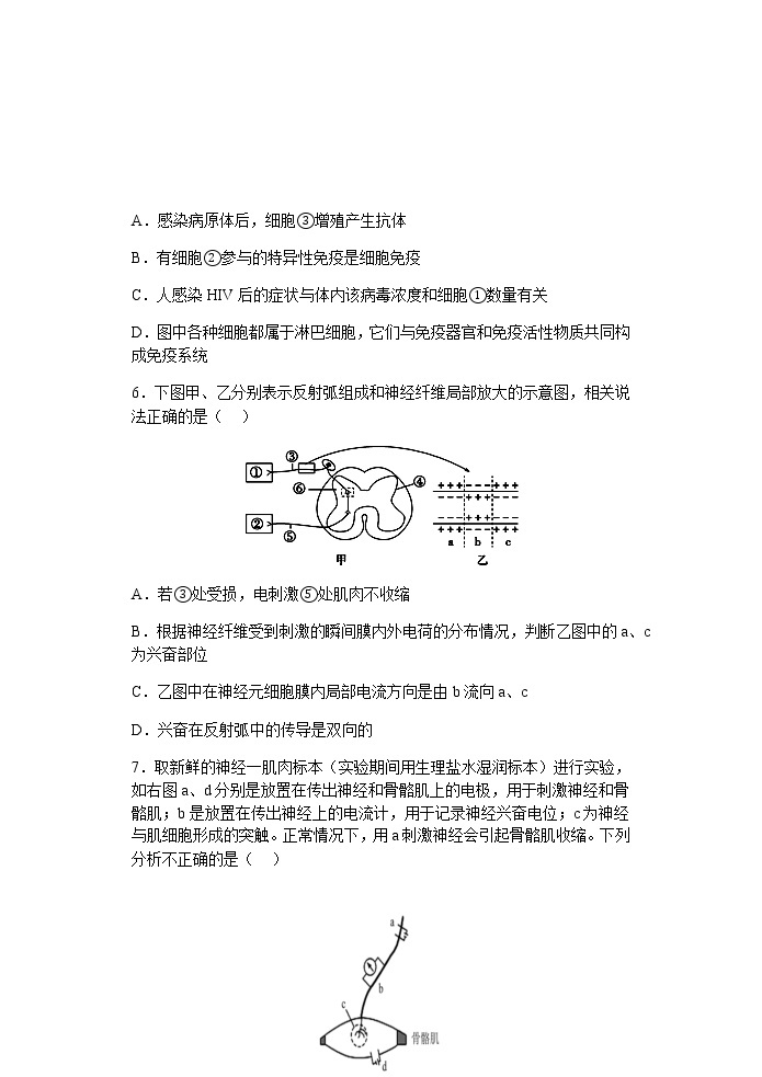 2022-2023学年福建省龙岩第一中学高二上学期第三次月考生物试题含答案03