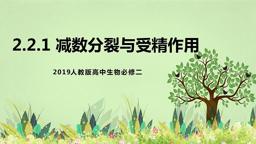 2019人教版高中生物必修二2.1.1《減數(shù)分裂與受精作用》課件第1頁(yè)