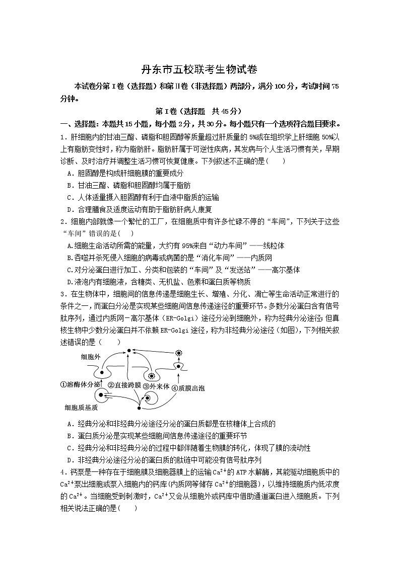 2023丹东五校高三上学期联考生物含答案 试卷01