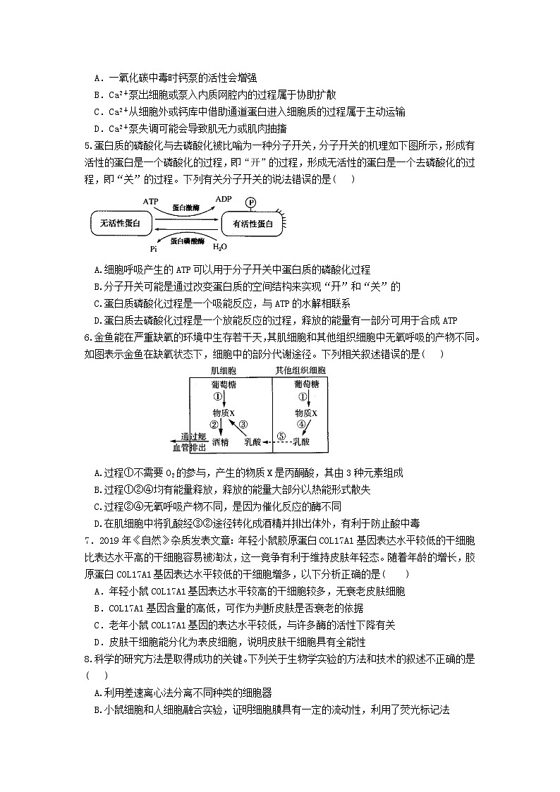 2023丹东五校高三上学期联考生物含答案 试卷02