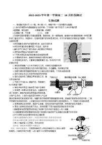 2022-2023学年江苏省扬州市高邮市高二上学期10月月考试题生物Word版含答案