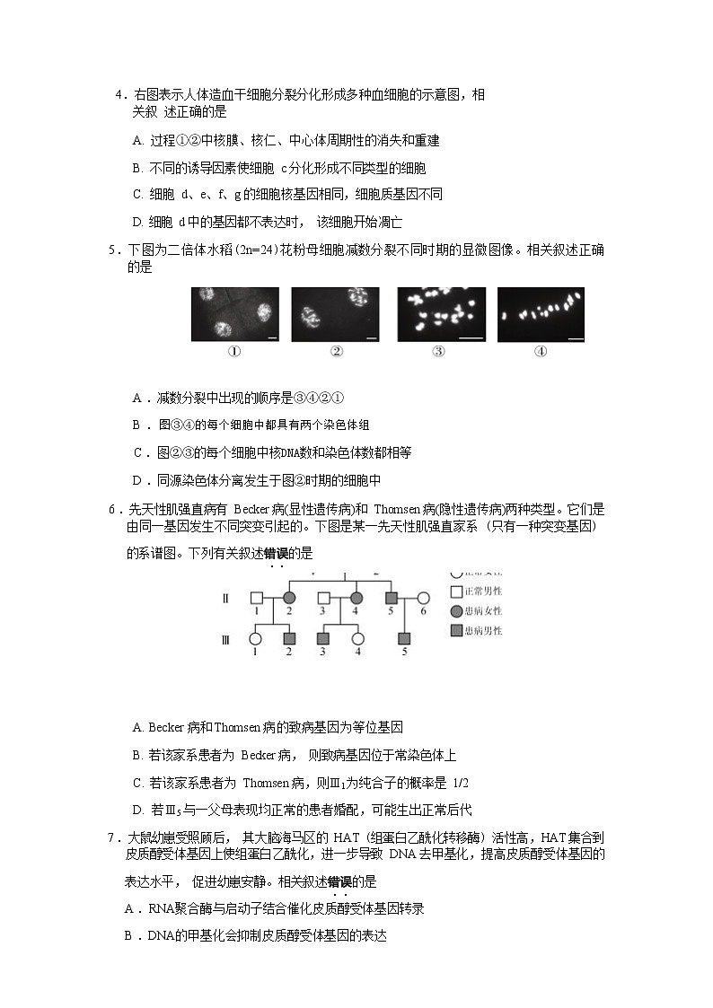 江蘇省徐州市2022-2023學(xué)年高三生物上學(xué)期期末模擬測(cè)試試題(Word版附解析)第2頁(yè)