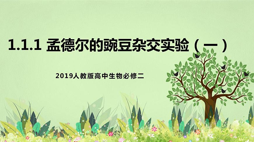 2019人教版高中生物必修二1.1.1《孟德爾的豌豆雜交實(shí)驗(yàn)（一）》課件第1頁(yè)