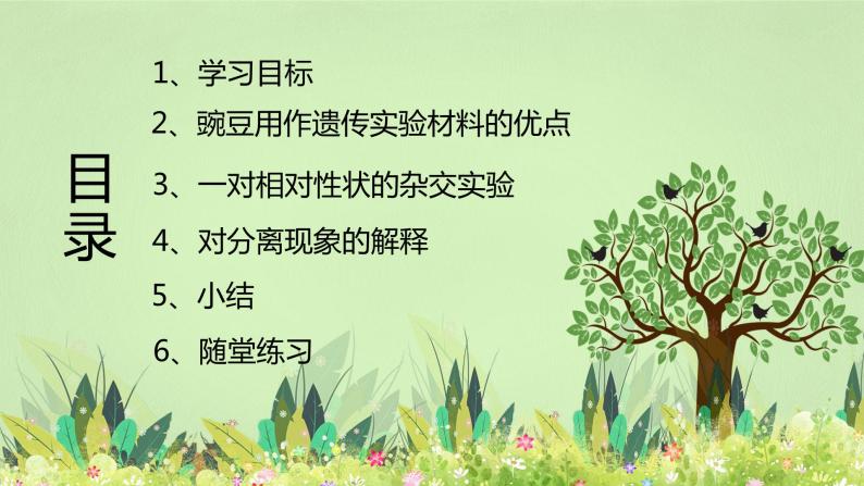 【核心素养】人教版高中生物必修二1.1.1《孟德尔的豌豆杂交实验（一）》课件PPT+教案+练习02