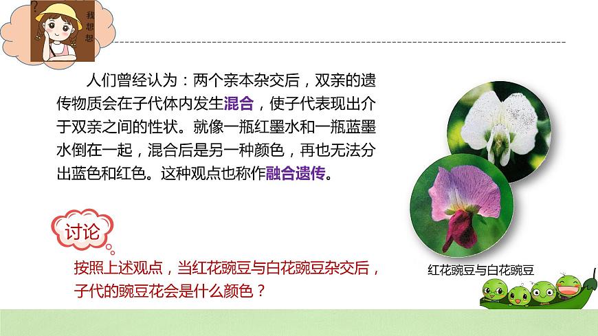 2019人教版高中生物必修二1.1.1《孟德爾的豌豆雜交實(shí)驗(yàn)（一）》課件第3頁(yè)
