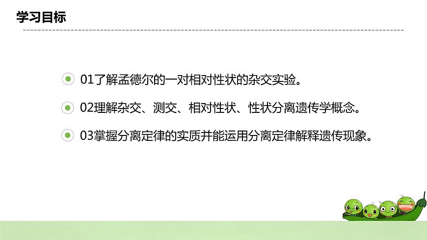 2019人教版高中生物必修二1.1.1《孟德爾的豌豆雜交實(shí)驗(yàn)（一）》課件第4頁(yè)