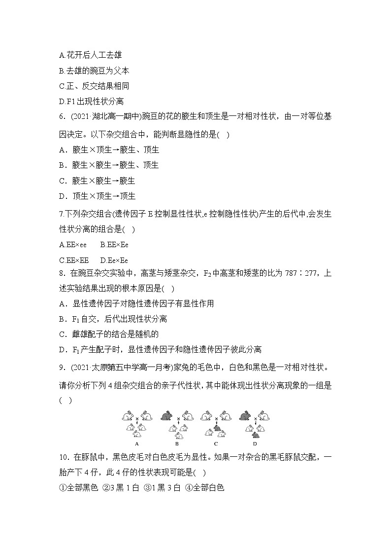 【核心素养】人教版高中生物必修二1.1.1《孟德尔的豌豆杂交实验(一)》课件PPT+教案+练习02
