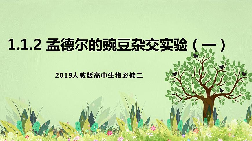 2019人教版高中生物必修二1.1.2《孟德爾的豌豆雜交實驗（一）》課件第1頁