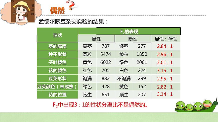 2019人教版高中生物必修二1.1.2《孟德爾的豌豆雜交實驗（一）》課件第4頁