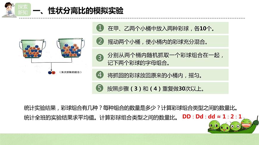 2019人教版高中生物必修二1.1.2《孟德爾的豌豆雜交實驗（一）》課件第7頁