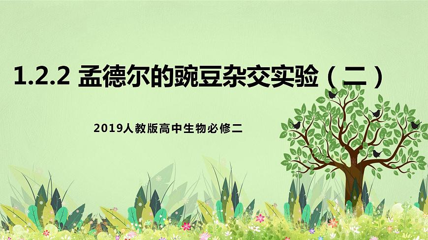 2019人教版高中生物必修二1.2.2《孟德爾的豌豆雜交實(shí)驗(yàn)（二）》課件第1頁