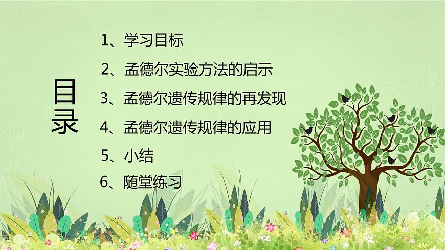 2019人教版高中生物必修二1.2.2《孟德爾的豌豆雜交實(shí)驗(yàn)（二）》課件第2頁