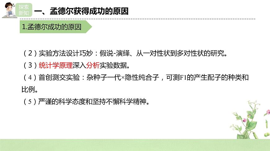 2019人教版高中生物必修二1.2.2《孟德爾的豌豆雜交實(shí)驗(yàn)（二）》課件第7頁