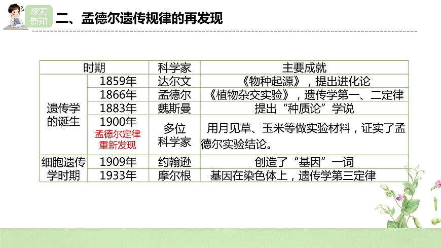 2019人教版高中生物必修二1.2.2《孟德爾的豌豆雜交實(shí)驗(yàn)（二）》課件第8頁