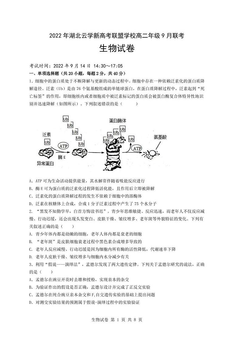 湖北省云学新高考联盟学校2022-2023学年高二上学期9月考试生物试题第1页