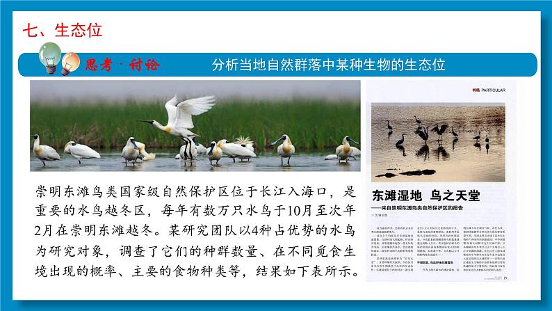 2.1群落的结构(第4课时)课件2022-2023学年高二上学期生物人教版选择性必修206