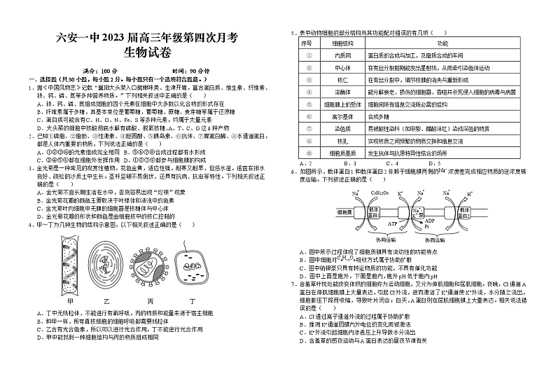 2023六安一中高三上学期第四次月考生物试题含解析第1页