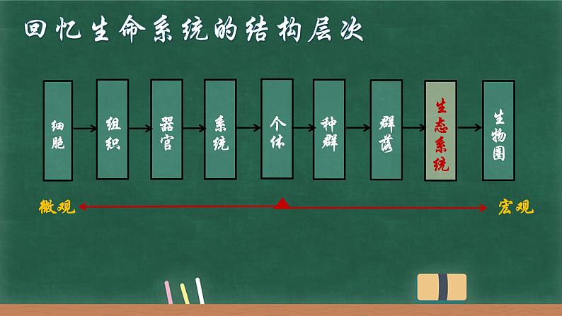 3.1生态系统的结构课件-2022-2023学年高二上学期生物人教版(2019)选择性必修2第3页