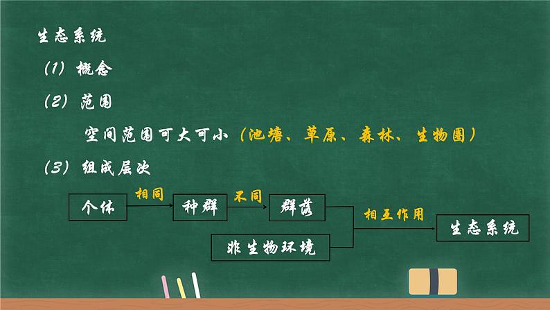 3.1生态系统的结构课件-2022-2023学年高二上学期生物人教版(2019)选择性必修2第6页