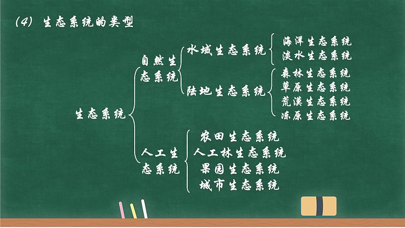3.1生态系统的结构课件-2022-2023学年高二上学期生物人教版(2019)选择性必修2第7页