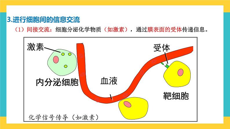 【高考一轮专题复习】高考生物专题复习——第5讲《细胞膜的结构和功能》复习课件(全国通用)第8页