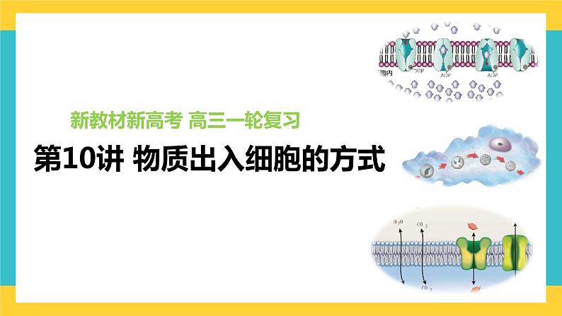 【高考一轮专题复习】高考生物专题复习——第10讲《物质出入细胞的方式》复习课件(全国通用)01