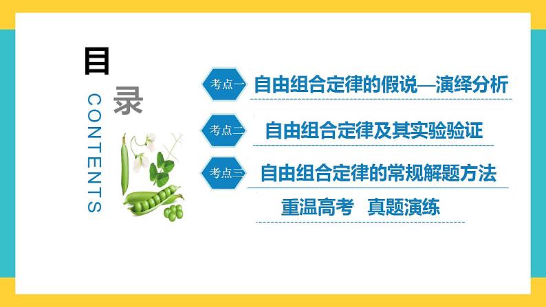 【高考一轮专题复习】高考生物专题复习——第21讲《自由组合定律的发现及应用》复习课件(全国通用)第2页