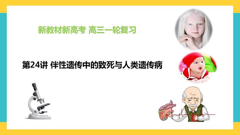 【高考一轮专题复习】高考生物专题复习——第24讲《伴性遗传中的致死问题与人类遗传病》复习课件(全国通用)第1页