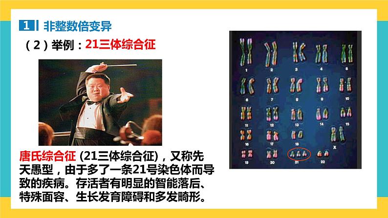 【高考一轮专题复习】高考生物专题复习——第31讲《染色体变异》复习课件(全国通用)第8页