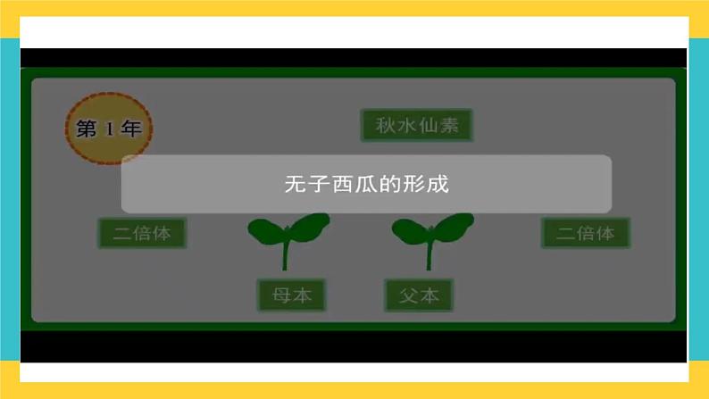 【高考一轮专题复习】高考生物专题复习——第32讲《生物变异在育种上的应用》复习课件(全国通用)第7页