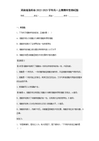 2022-2023学年河南省洛阳市高一上期期中生物试题含解析