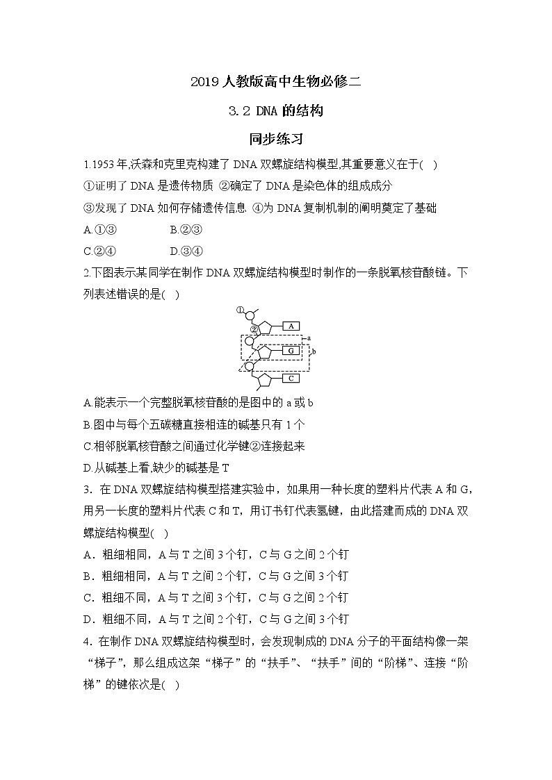 【核心素养】人教版高中生物必修二3.2《DNA的结构》课件PPT+教案+练习01