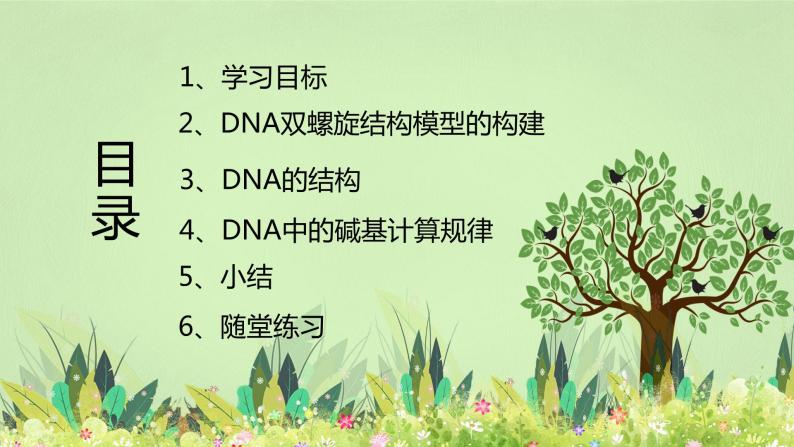 【核心素养】人教版高中生物必修二3.2《DNA的结构》课件PPT+教案+练习02