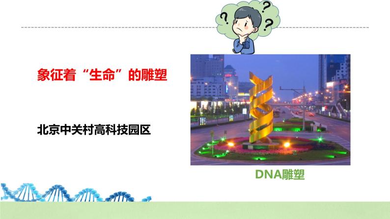 【核心素养】人教版高中生物必修二3.2《DNA的结构》课件PPT+教案+练习03