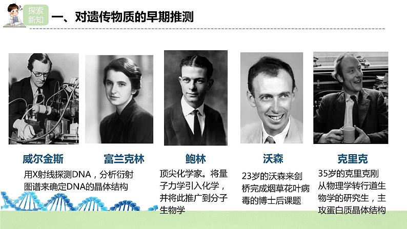 【核心素养】人教版高中生物必修二3.2《DNA的结构》课件PPT+教案+练习06
