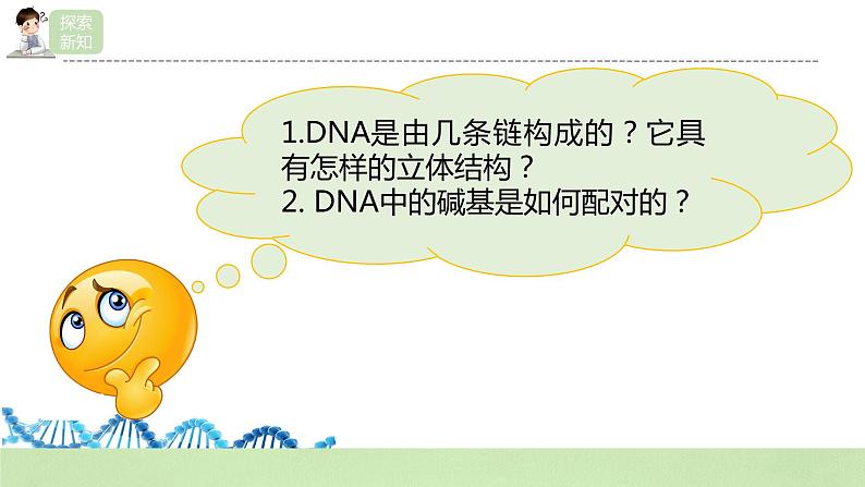 【核心素养】人教版高中生物必修二3.2《DNA的结构》课件PPT+教案+练习08