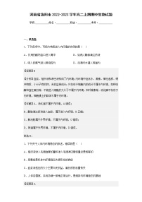 2022-2023学年河南省洛阳市高二上期期中生物试题含解析
