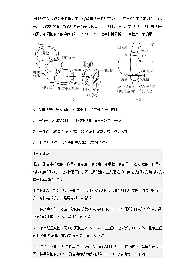 2022-2023学年湖北省华中师范大学第一附属中学高三12月月考生物试题含解析第3页