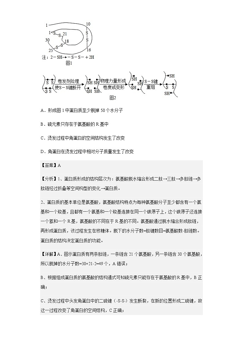 2022-2023学年重庆市南开中学校高三11月月考生物试题含解析第2页