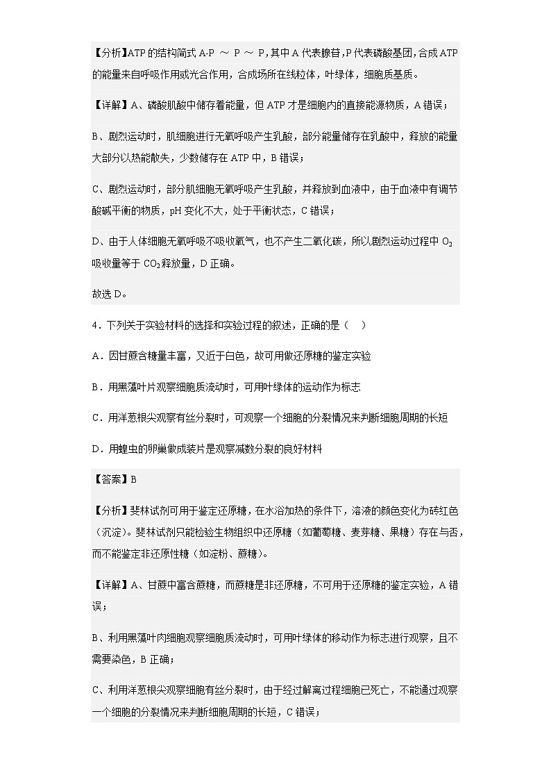 2022-2023学年河北省邢台市五校高三上学期期中联考生物试题含解析第3页