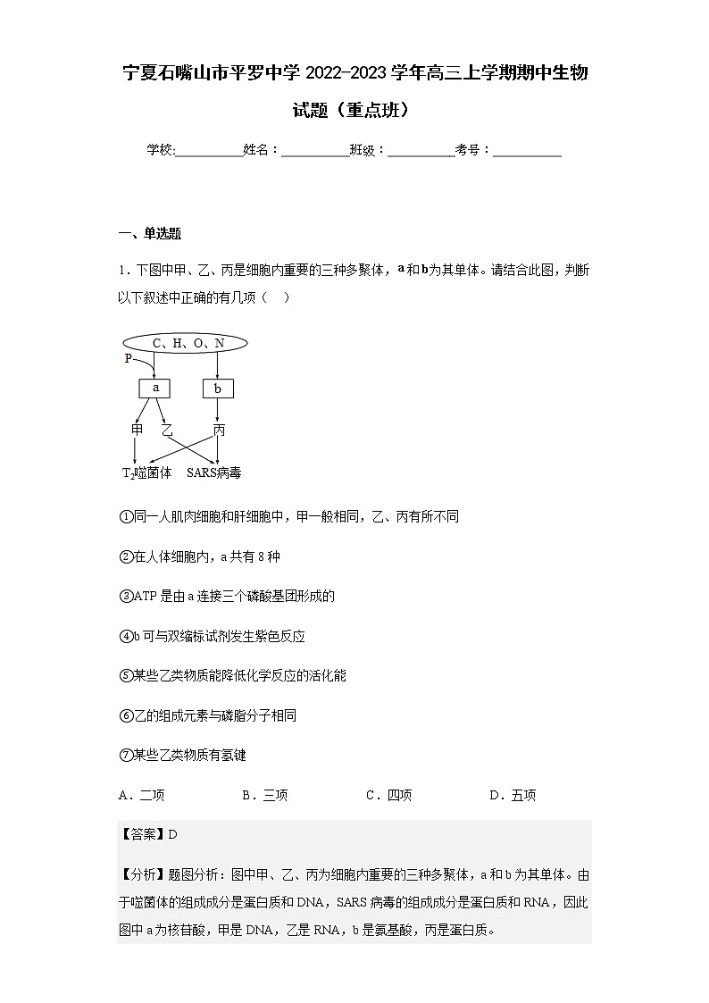 2022-2023学年宁夏石嘴山市平罗中学高三上学期期中生物试题(重点班)含解析01