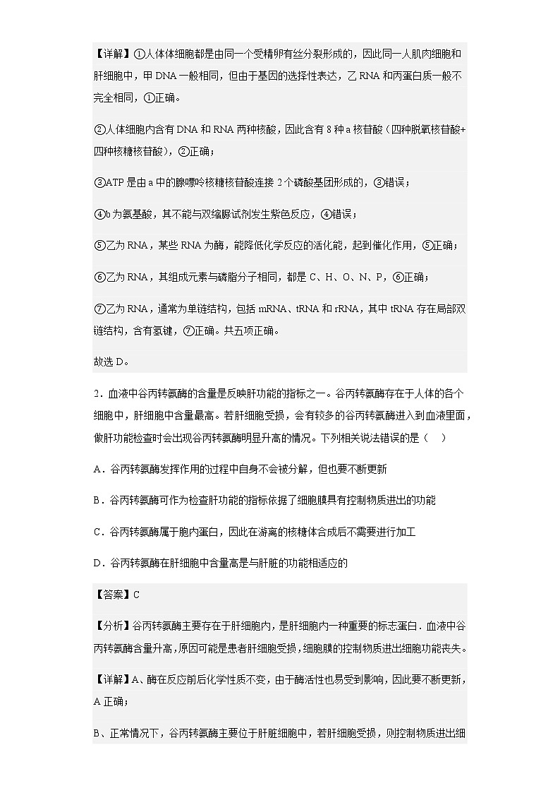 2022-2023学年宁夏石嘴山市平罗中学高三上学期期中生物试题(重点班)含解析02