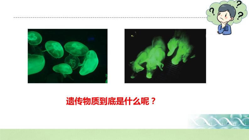 【核心素养】人教版高中生物必修二3.1《DNA是主要的遗传物质》课件PPT+教案+练习03